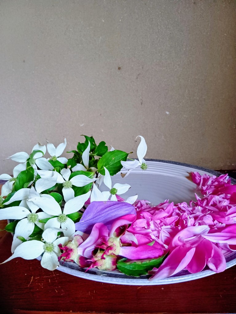 ヤマボウシ・芍薬・クレマチス